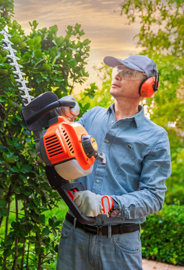Hedge trimmers