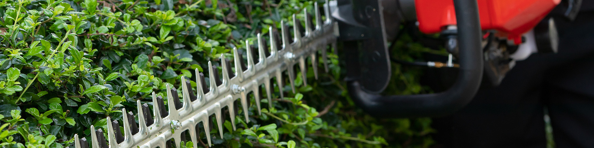 Hedge trimmers