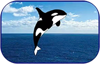 Shandong HuJing New Materials Co., Ltd.