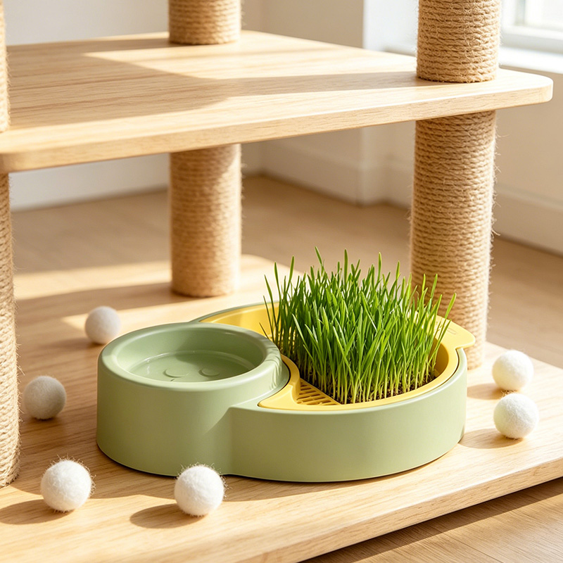 Key points for choosing a cat grass box