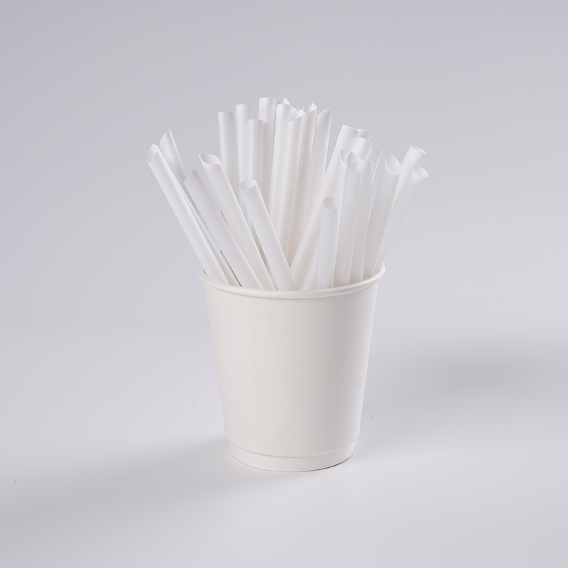 Plastic Straw