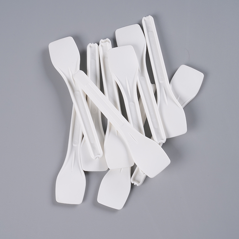 PLA Ice Cream Spoon PLA Ice Cream Spoon
