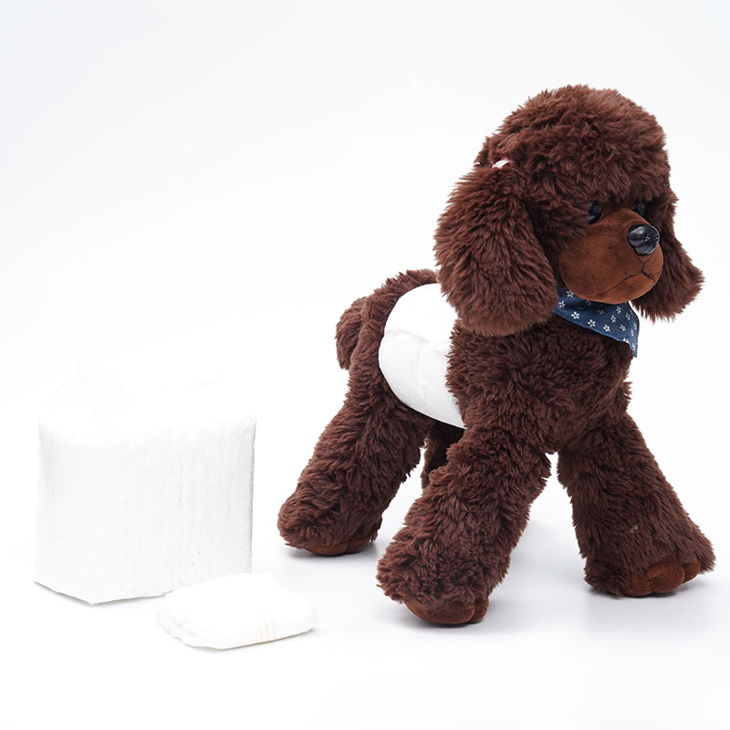 Pet Diaper Pet Diaper