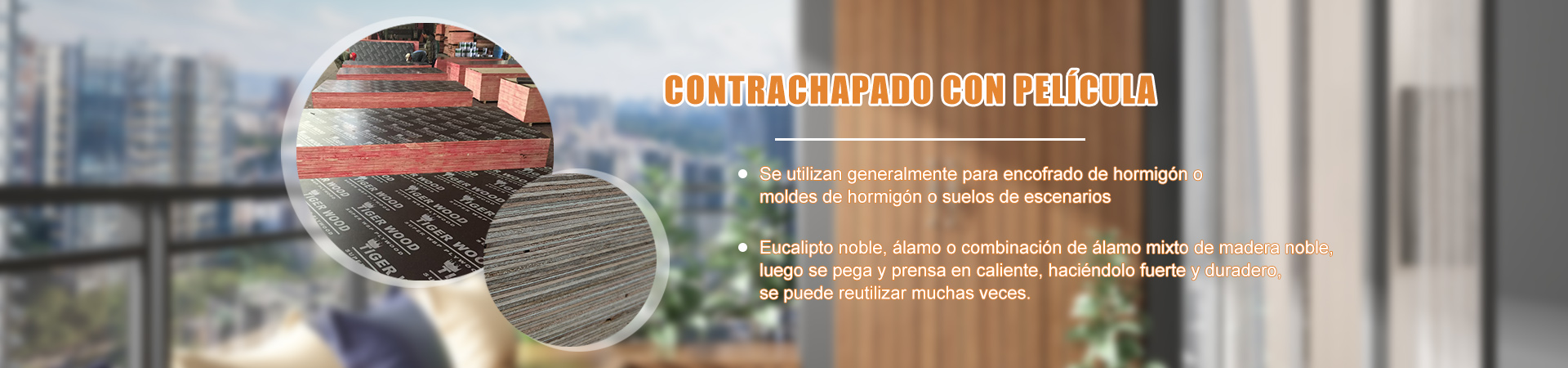 LUXURY  PLYWOOD / MDF