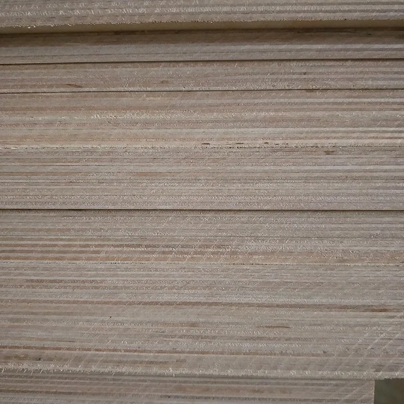 Bintangor plywood