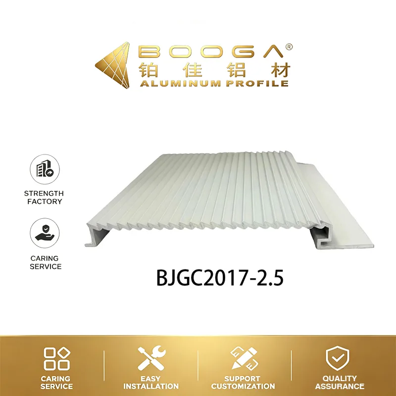BJGC2017-2.5