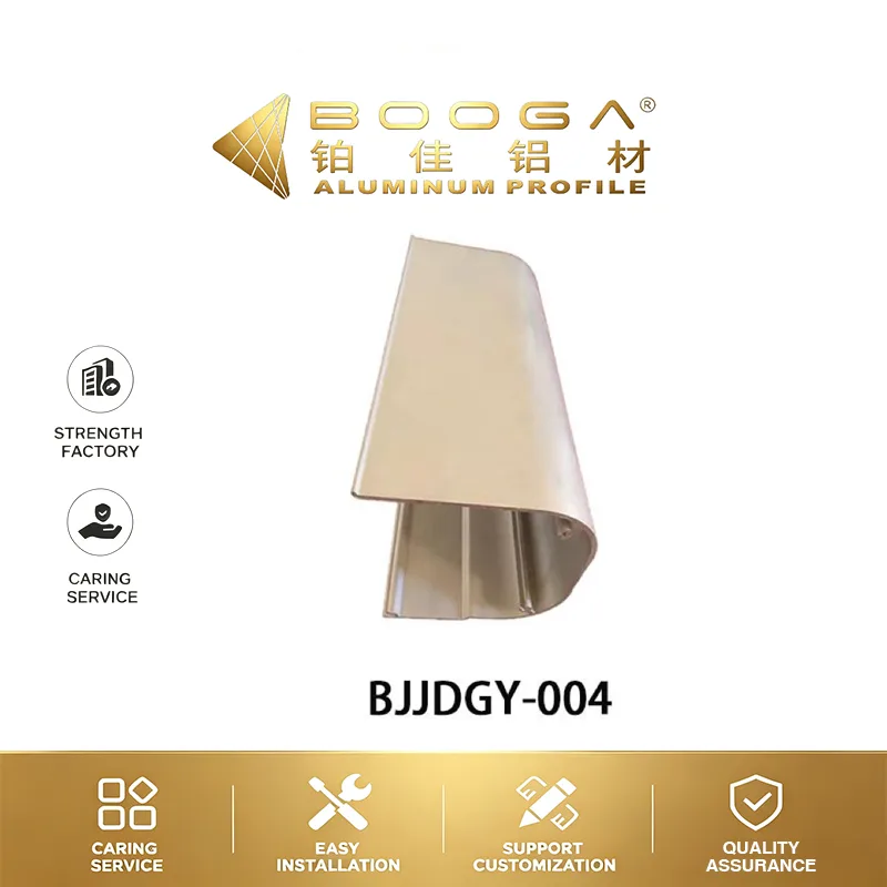 BJJDGY-004