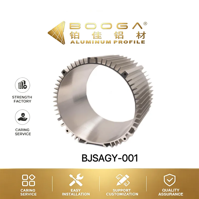 BJJDGY-001