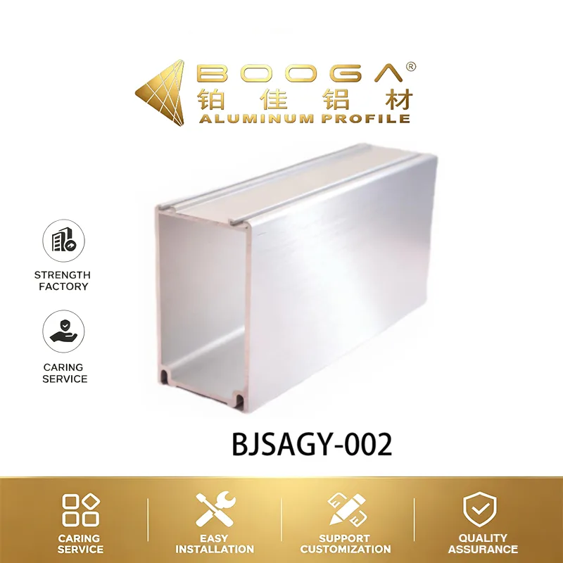BJSAGY-002