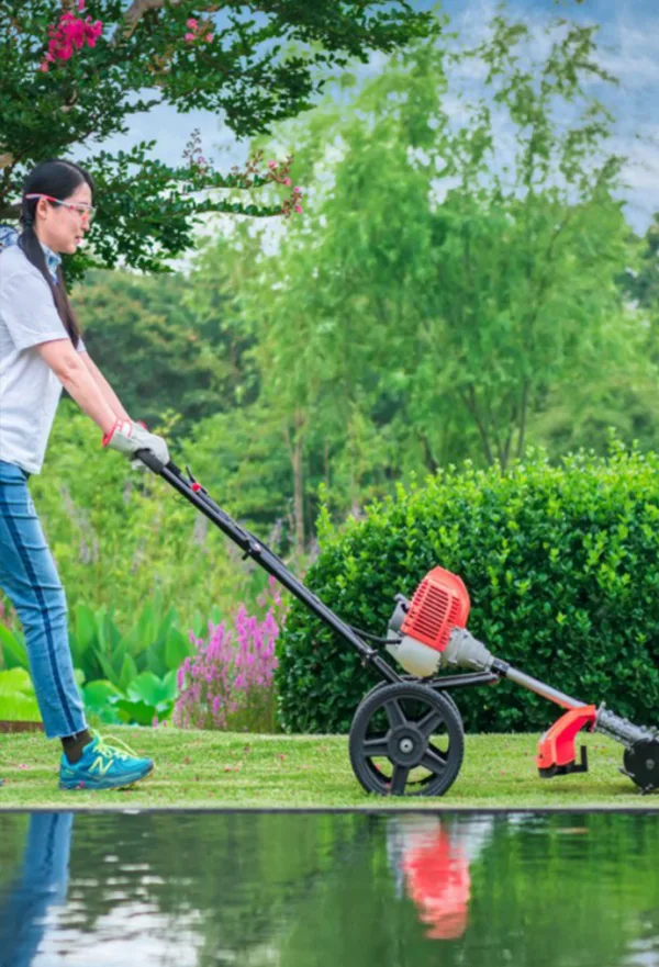 Mini-tiller