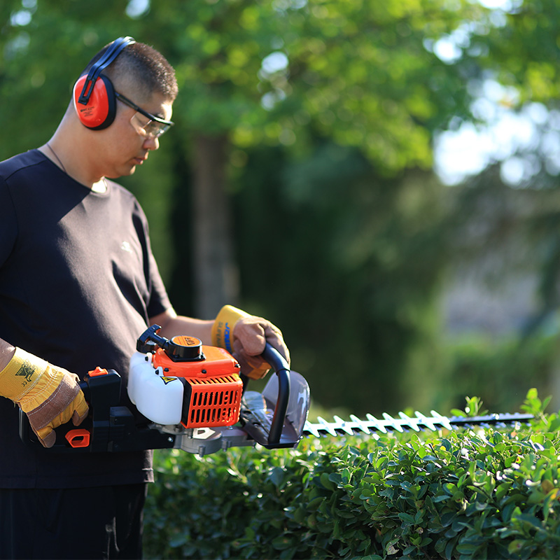 [Garden maintenance] How much do you know about the use and maintenance of garden machinery?