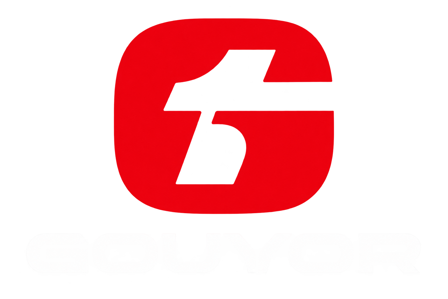 Guanyou Technology Group Co., Ltd.