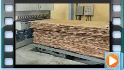 Fixed-Thickness Sanding Machine