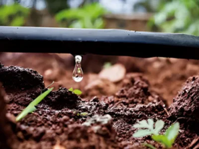 Landscaping and Temporary Water Supply and Drainage for Construction Sites