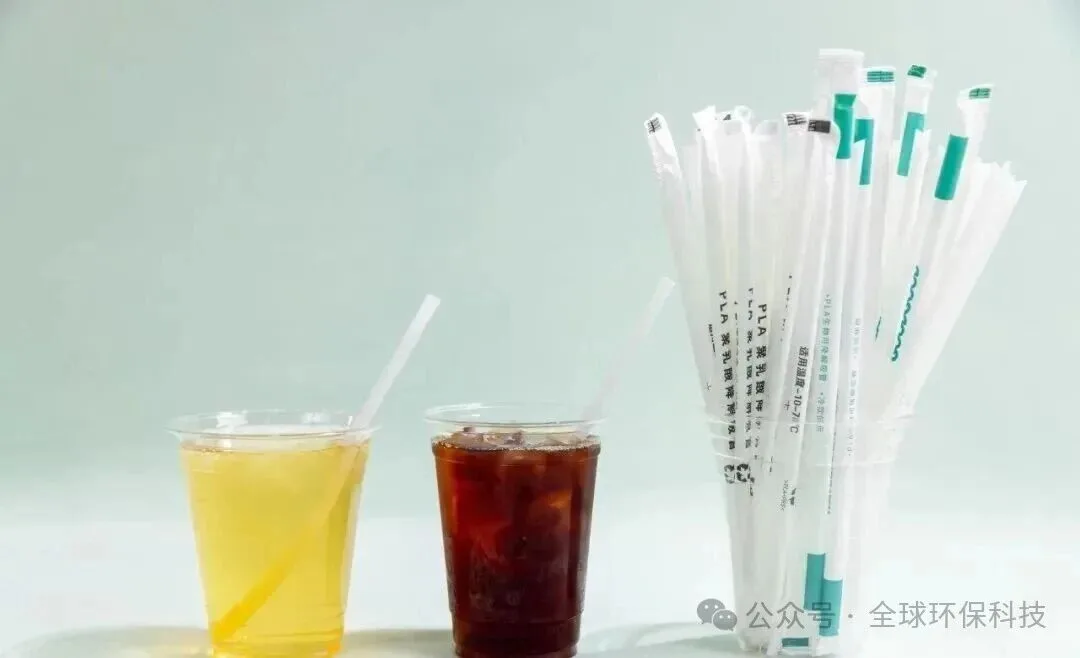 Plastic Pollution Crisis: The Imperative of Green Innovation