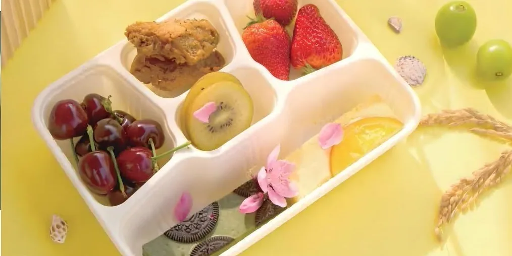 Five-compartment lunch box