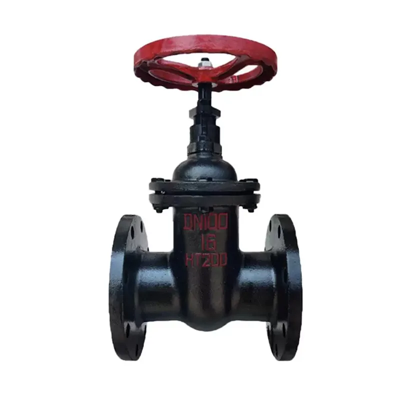 Cast Iron Flanged Valves