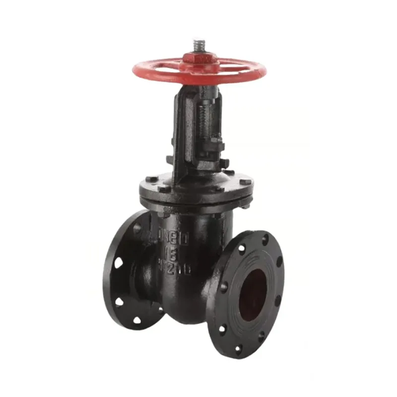 Cast Iron Flanged Valves
