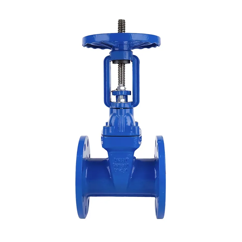 Cast Iron Flanged Valves