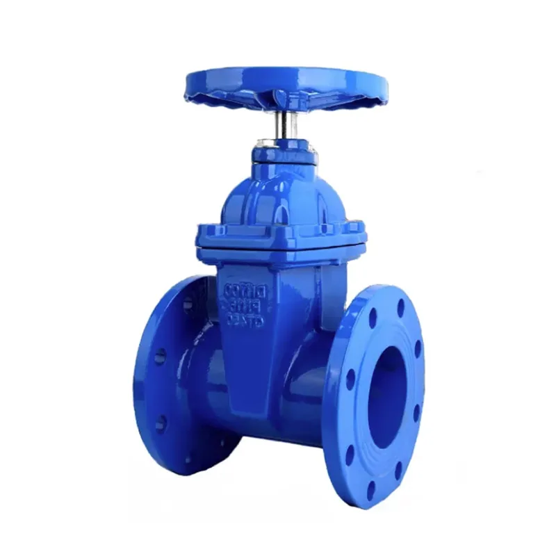 Cast Iron Flanged Valves