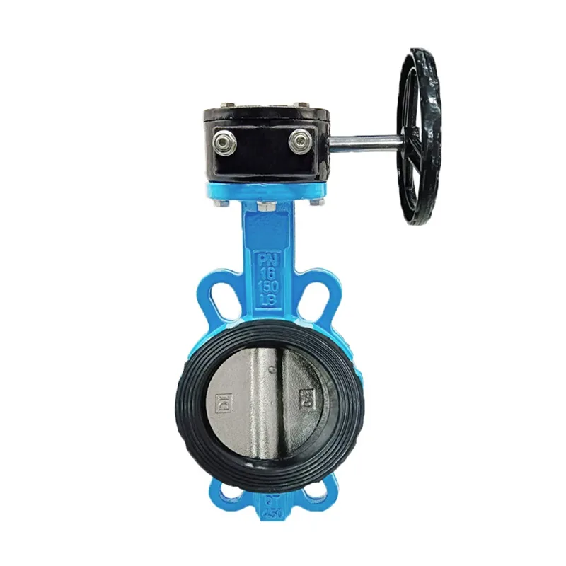 Cast Iron Flanged Valves