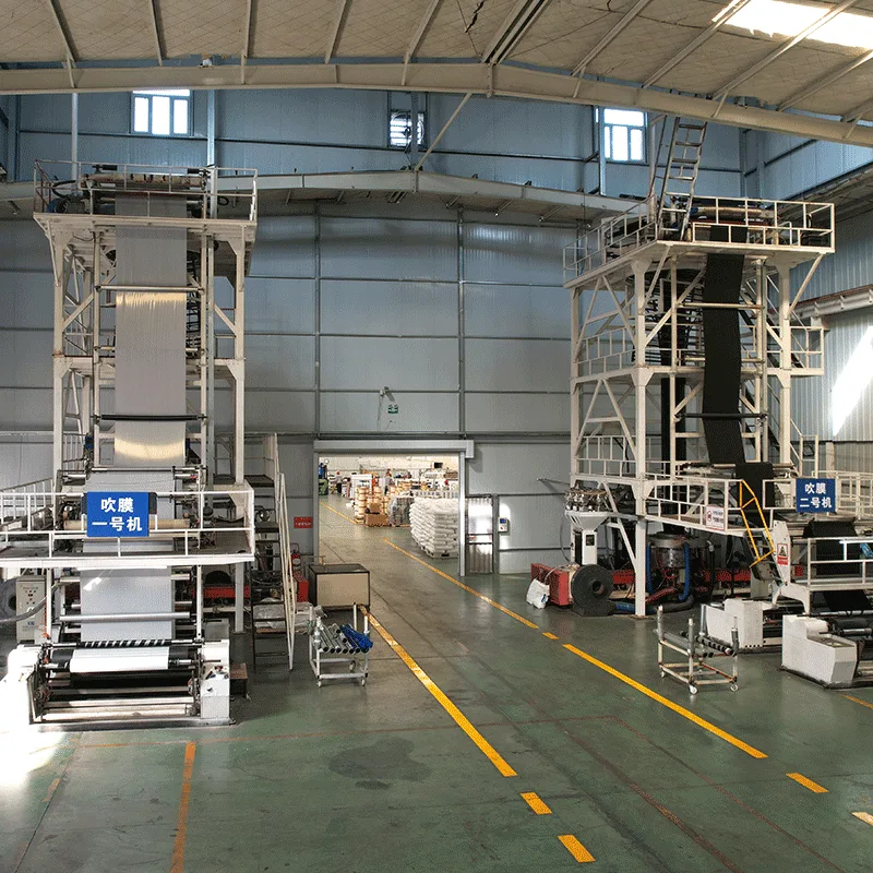 Blown film machine