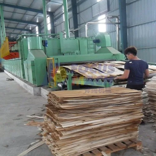 Two-tier roller conveyor dryer