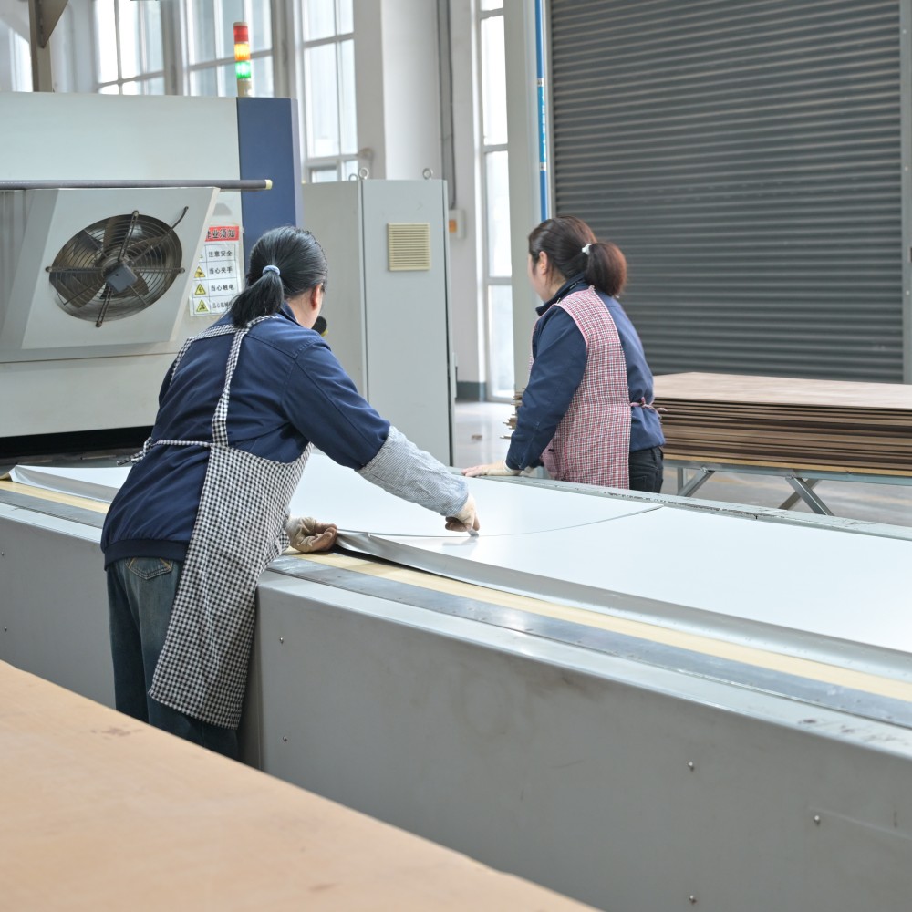 interior wood door supplier in China